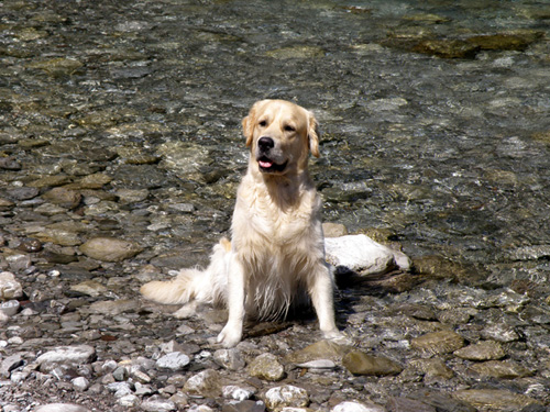 Wasser ist toll !